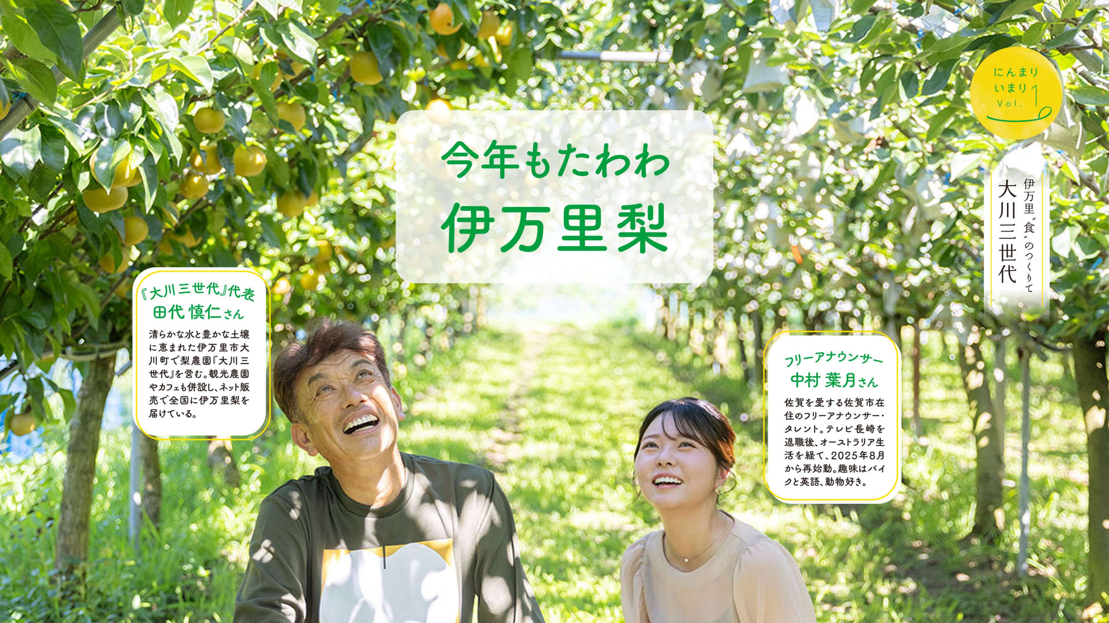 今年もたわわ、伊万里梨