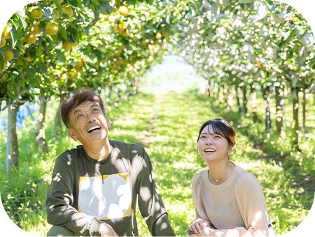 今年もたわわ、伊万里梨