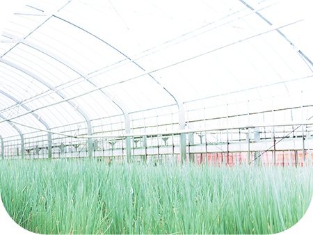 名人が育む食卓の名脇役