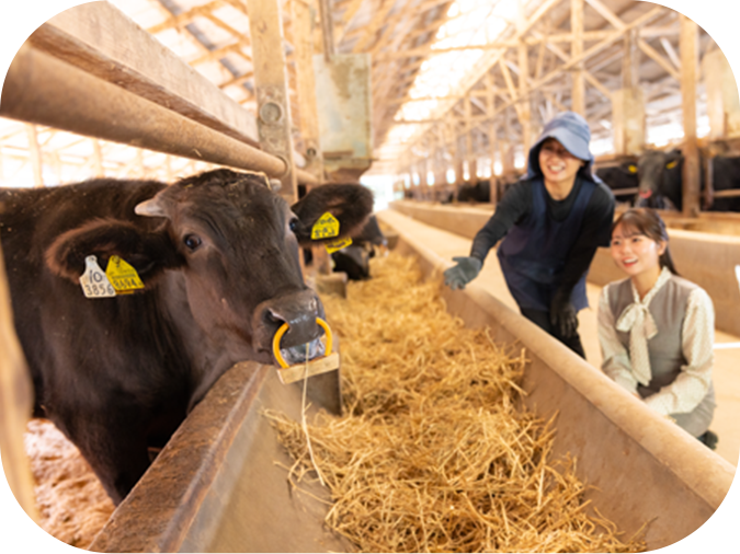 全国に誇れる伊万里牛