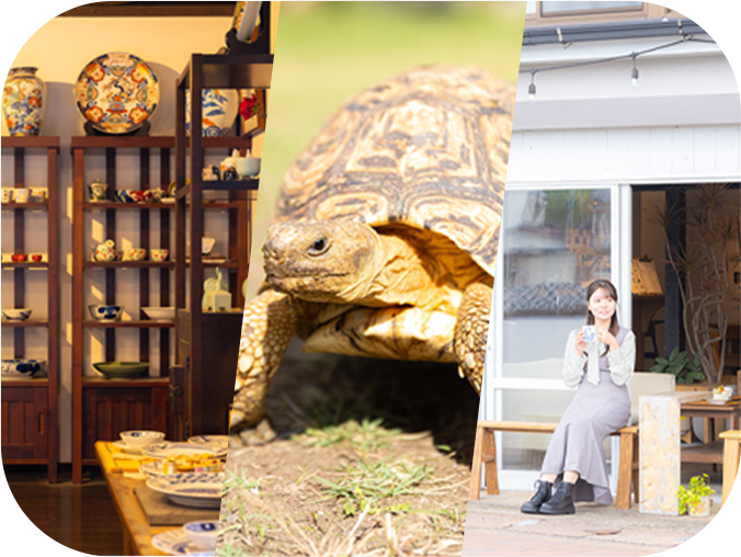 日頃の忙しさを忘れるのんびり癒やしの旅に伊万里へ